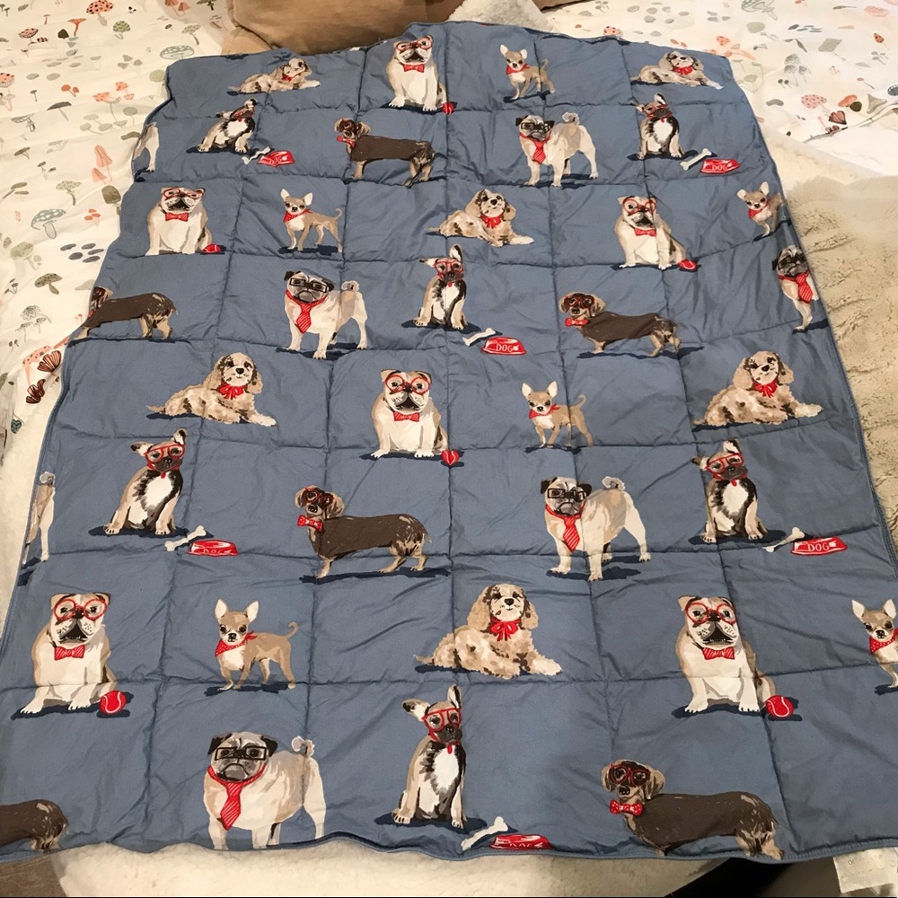 The Company Store LoftAIRE Lap Comforter.  Dog print.  My own personal closet.